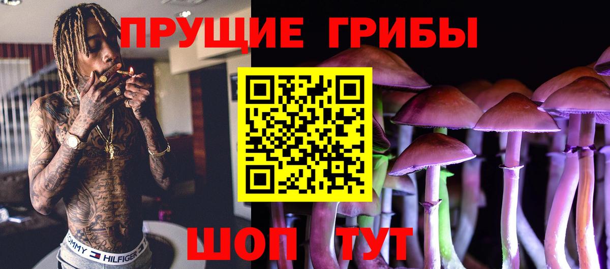 Псилоцибиновые грибы ЛСД  Галлюциногенные грибы мицелий  магазин    Дивногорск  Вход с VPN 