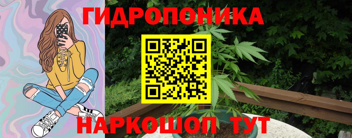 Бошки Шишки AK-47  Бошки марихуана ГИДРОПОН  Дивногорск  Вход с VPN  Бошки марихуана White Widow 